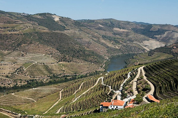 Descubra a gastronomia portuguesa de Norte a Sul com “The Art of Tasting Portugal”