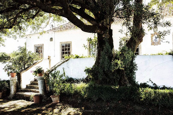 Lisbon Family Vineyards Wine Experience