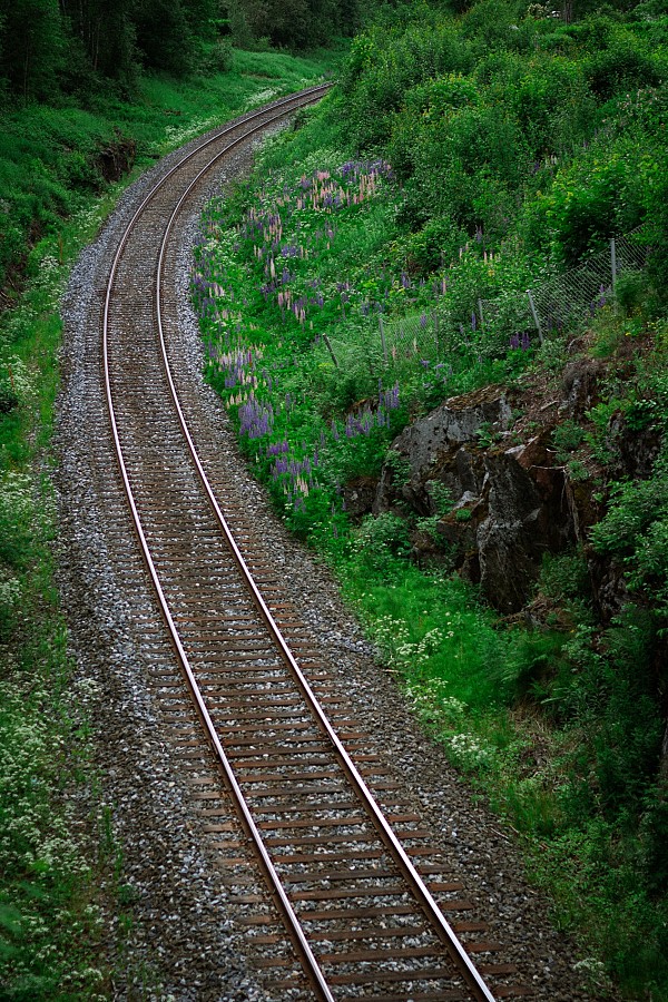 Douro Tunnel Route - Walk Tour