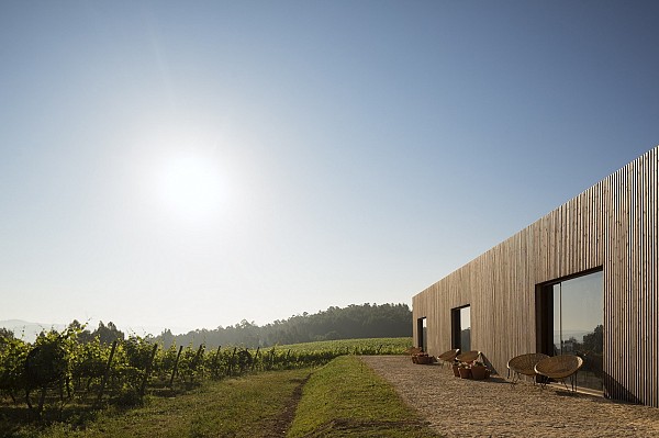 Tour de Natureza e Vinhos - Porto e Norte