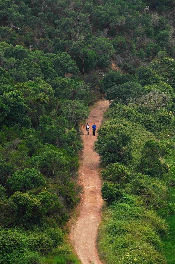 Rota Vicentina de bicicleta e Costa Sudoeste