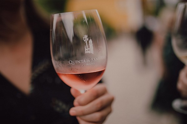 Lisbon Family Vineyards Wine Experience