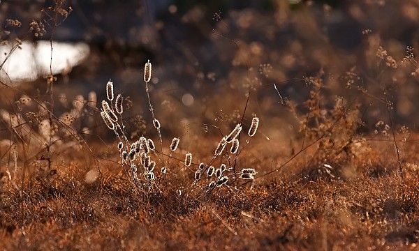 Estradas mais bonitas no Alentejo