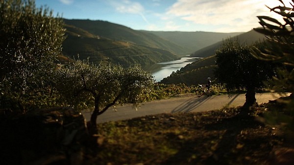 The charming Douro Valley Bike Tour