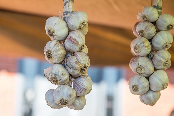 Food Lovers in Algarve