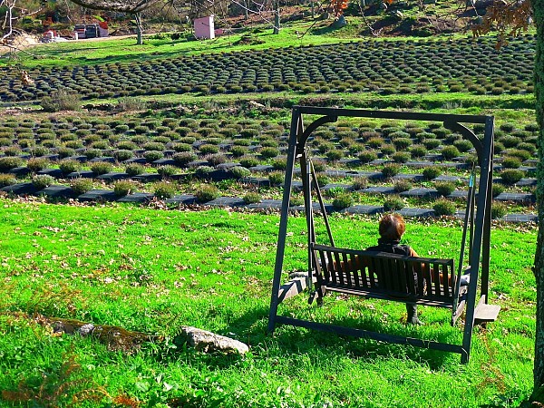 The Wonders of the Inland Alentejo Walk Tour
