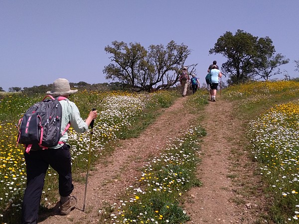 Hike & Cook in Alentejo