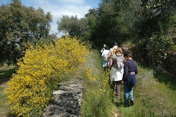 Hike & Cook in Alentejo