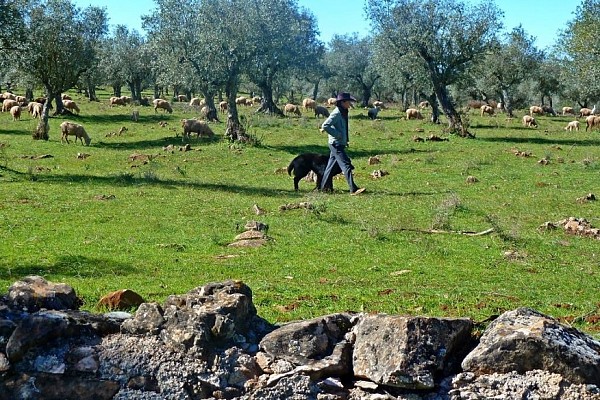 The wonders of the inland Alentejo Bike Tour