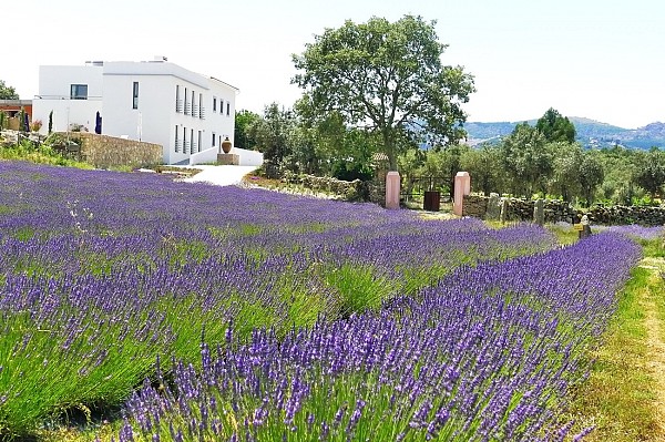 Family Adventure in Alentejo