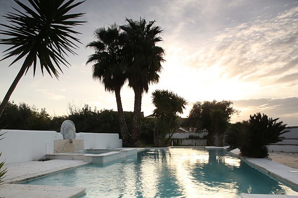 Food & Wine Tour in Alentejo Wine Land