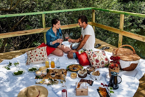 Food and Wine Tour no Norte e Douro