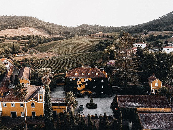 Lisbon Family Vineyards Wine Experience