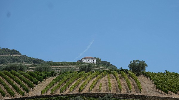 Off-the-Beaten Vale do Douro - Tour de Caminhadas e Vinho