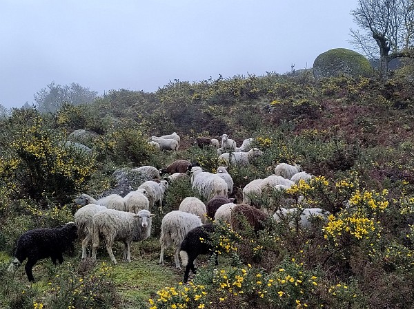 À descoberta do Parque Nacional Peneda-Gerês