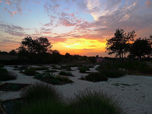Family Adventure in Alentejo