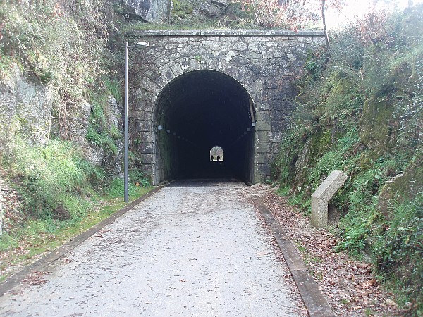 Tâmega Rail Trail - Bike Tour