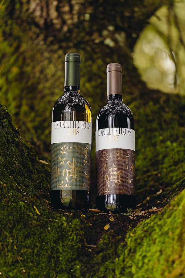 Heritage Food tour in Lisbon, Alentejo & Algarve with “The Art of Tasting Portugal”