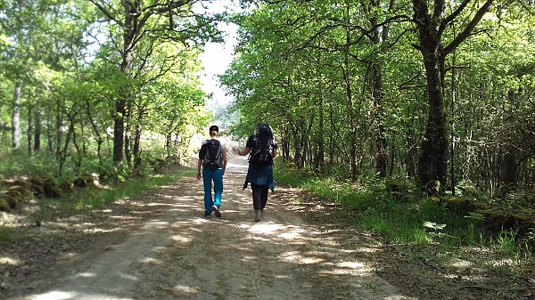 Walking Mentorship Costa Vicentina