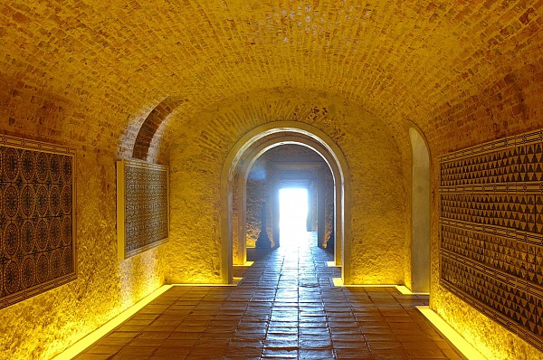  The charms of coastal Setúbal and its wine Day Tour