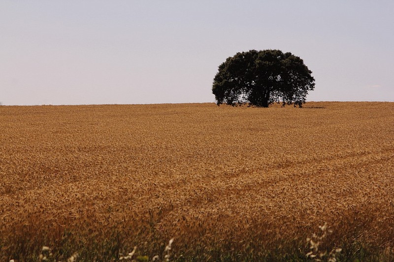 Cycling in Alentejo Breathtaking Scenery