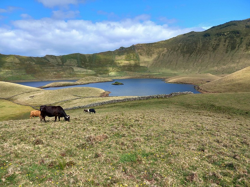 4 Day "not so serious" Yoga & Walk Retreat - Azores